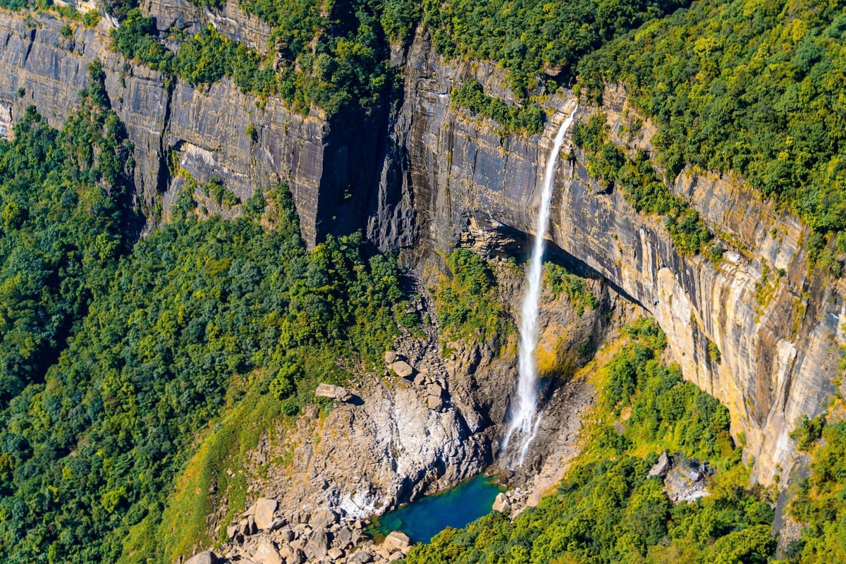 Rainforest of Meghalaya