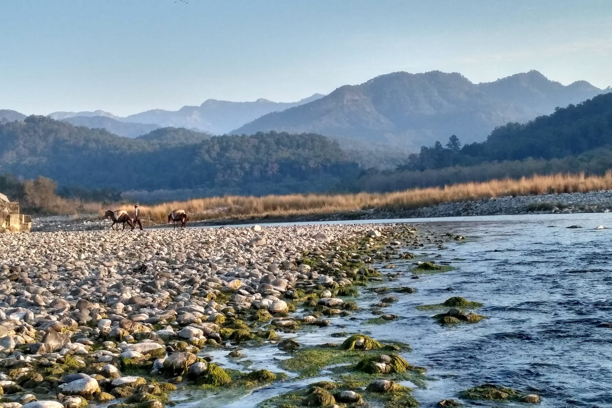 National Parks of India