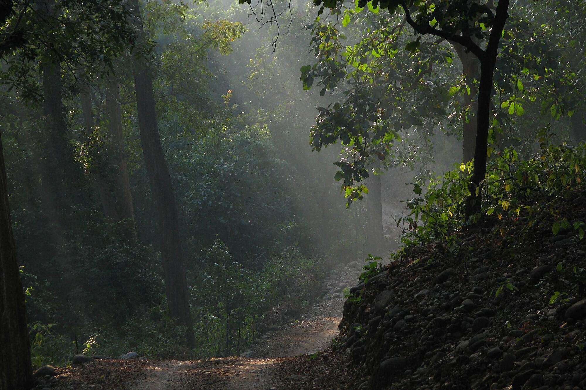 National Parks of India