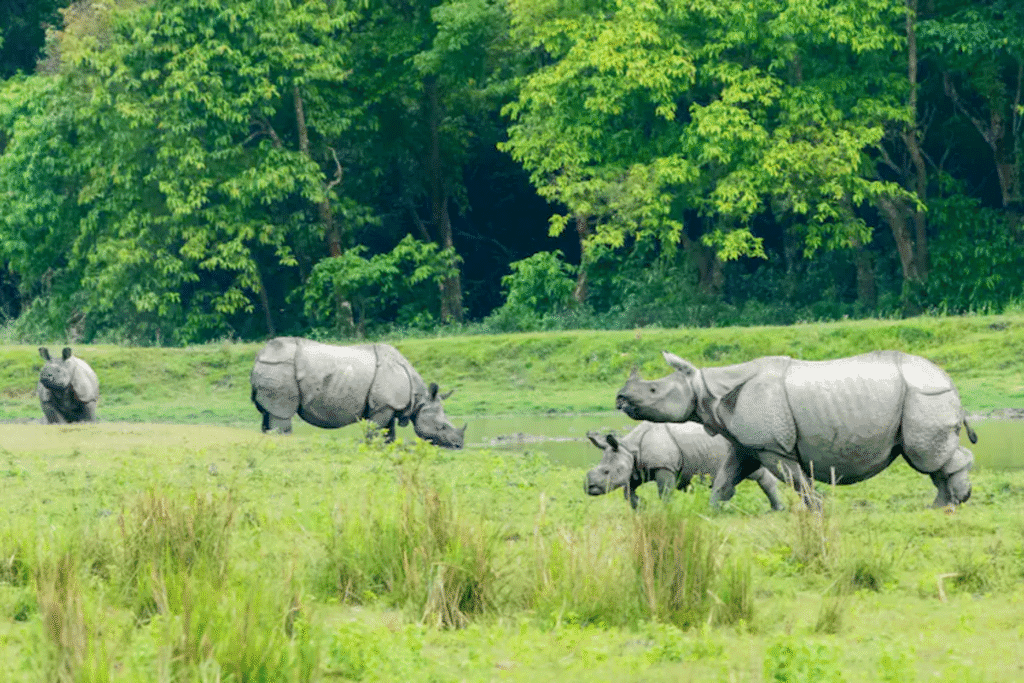 Top 10 Unesco Sites in India
