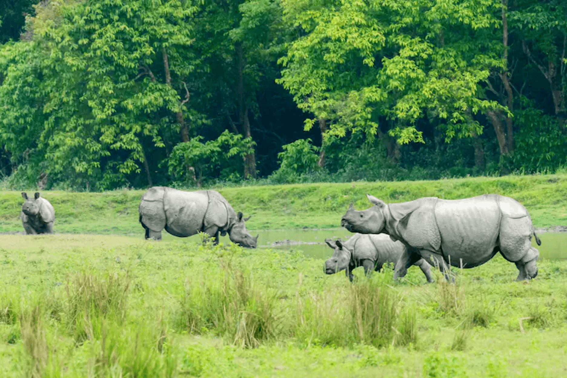 National Parks of India 