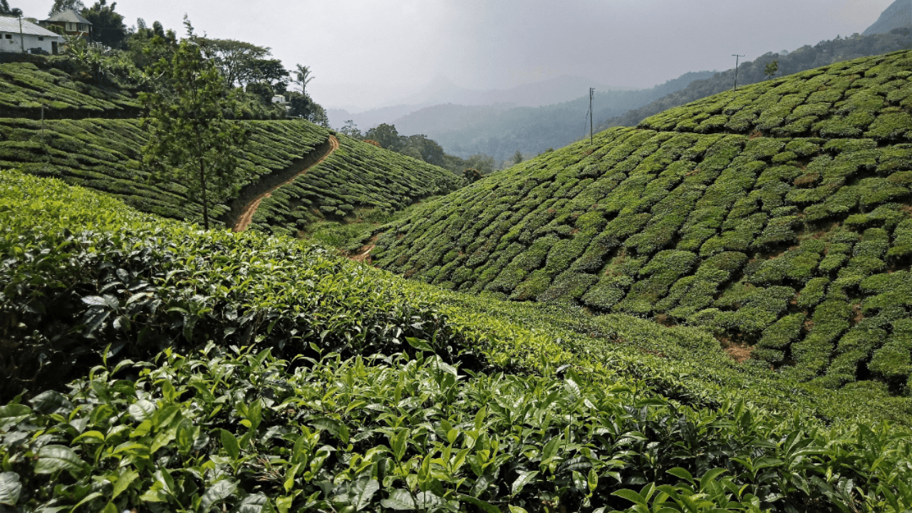 Top 10 Hill Stations in India