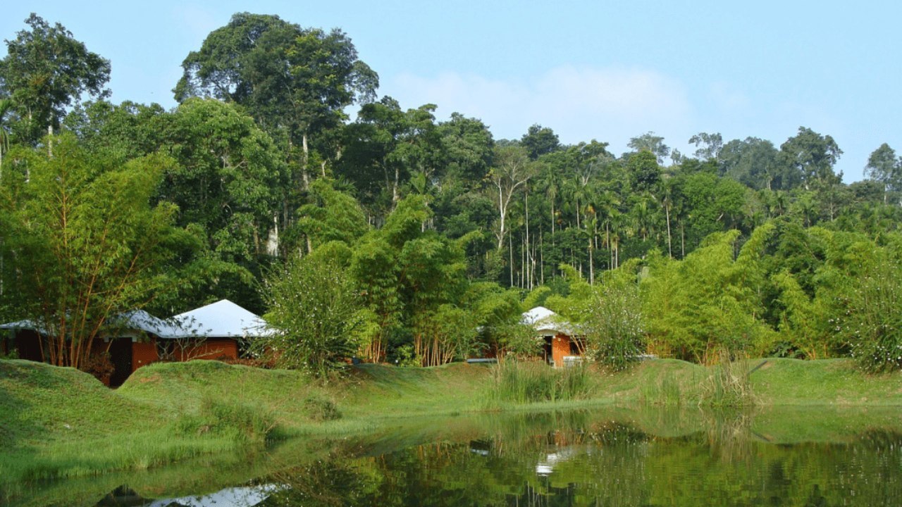 मानसून यात्रा