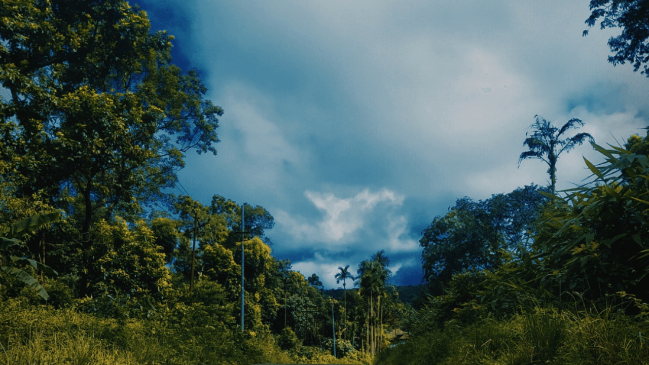 मानसून यात्रा