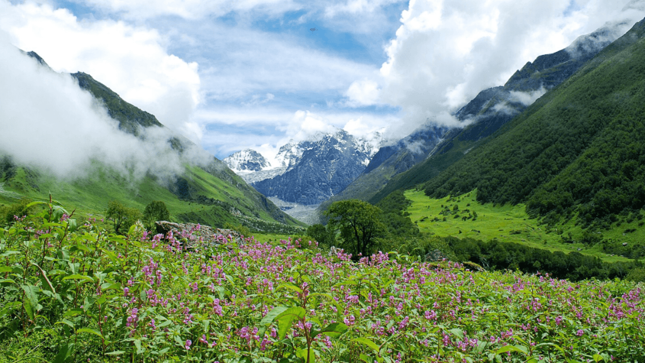 मानसून यात्रा