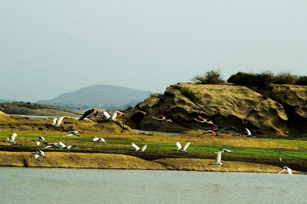 अरावली पर्वतमाला