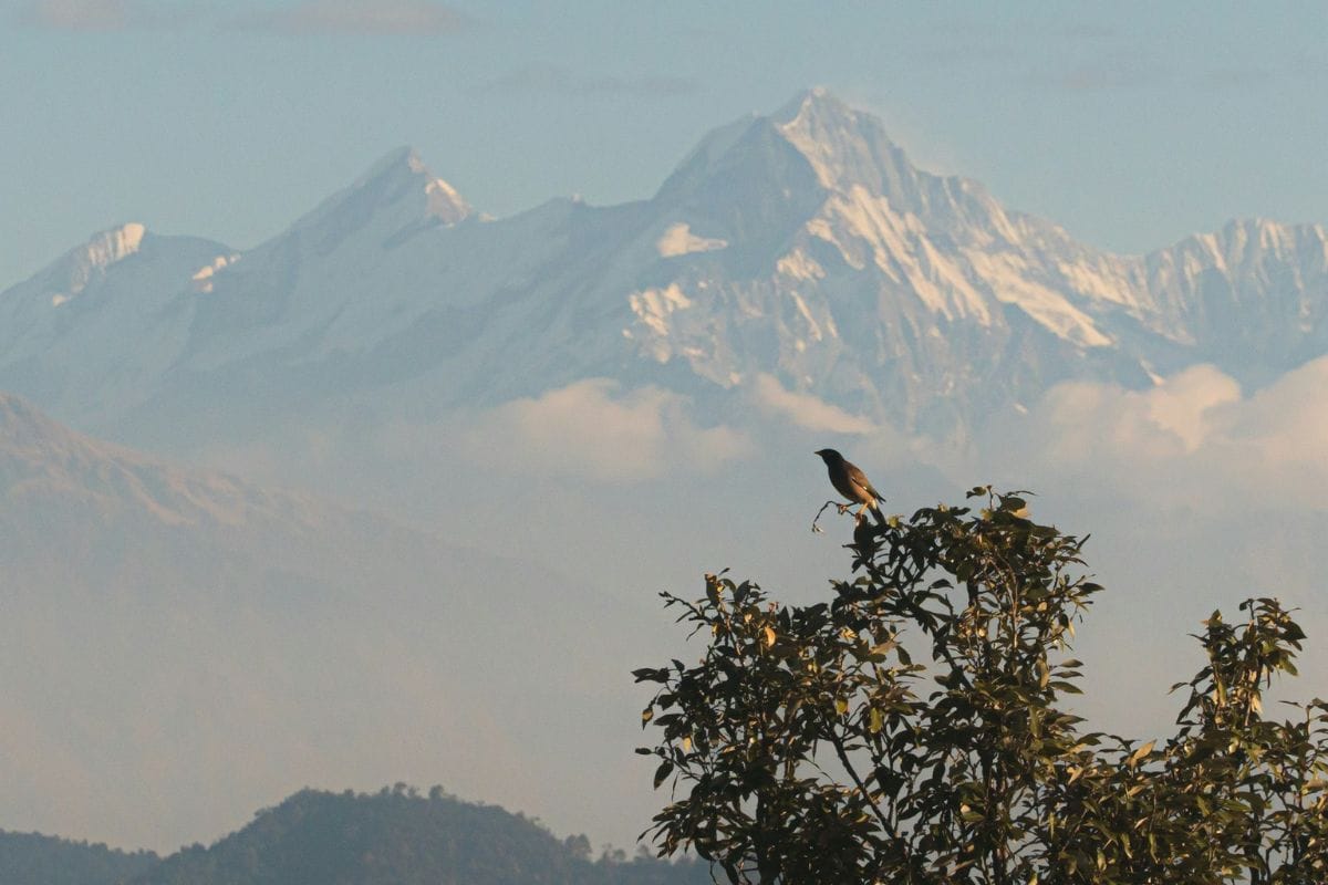 भारत में सर्दियों में बर्फ कहां पड़ती है